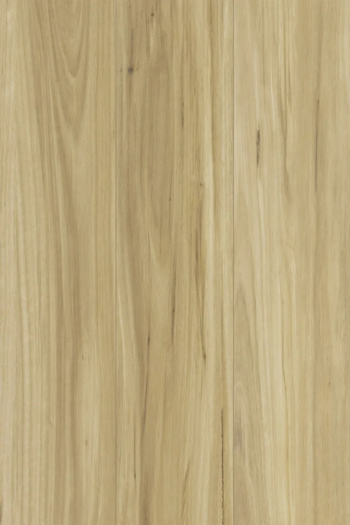 Blackbutt 1417 laminate flooring