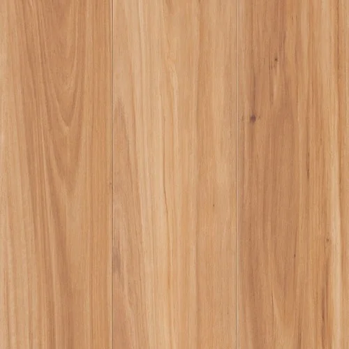 Coastal Blackbutt 1427 laminate flooring