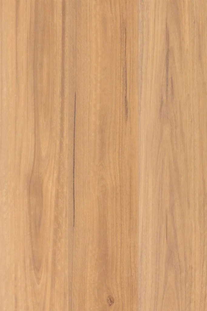 Spotted Gum 1416 laminate flooring