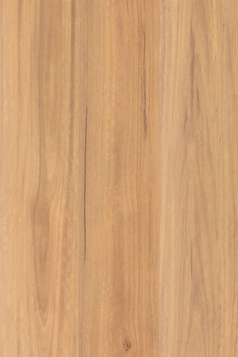 Spotted Gum 1416 laminate flooring