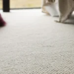 Sven wool carpet in Frost installed in a room